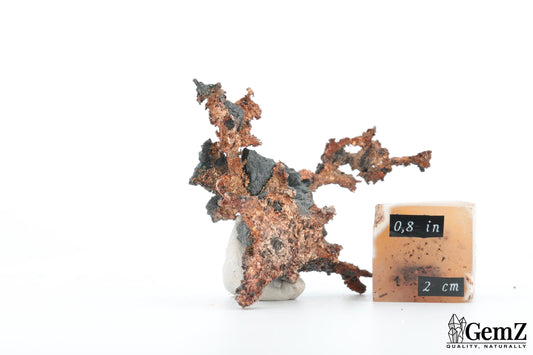 Argent natif sculptural – Mine New Nevada, Mexique, 40g !