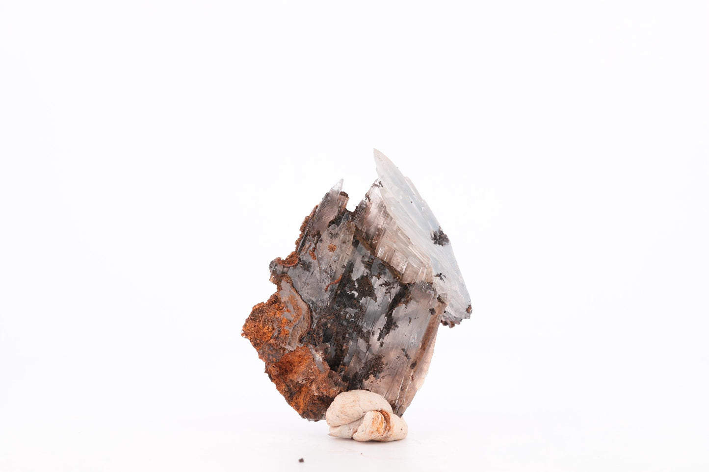 Baryte bleue sur Goéthite – Mine de Sidi Lhcen, Nador, Maroc, 19 g