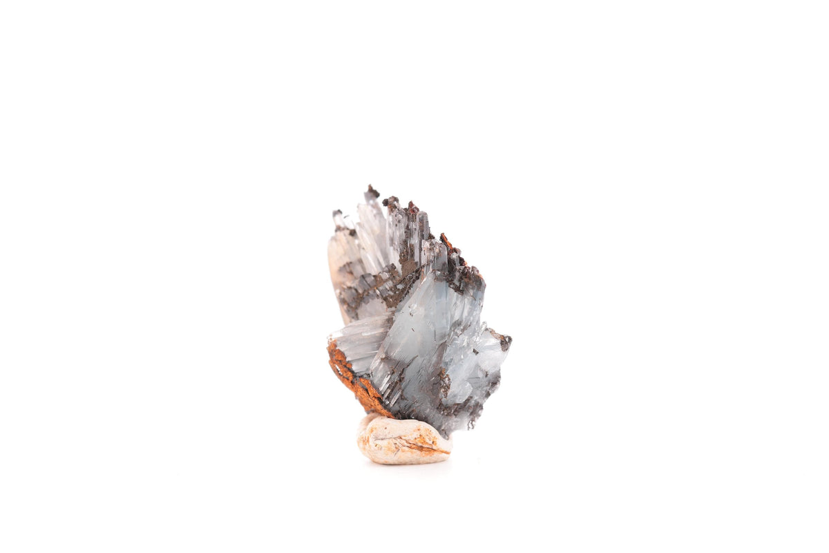 Baryte bleue sur goethite – Sidi Lhcen, Nador, Maroc – 20 g