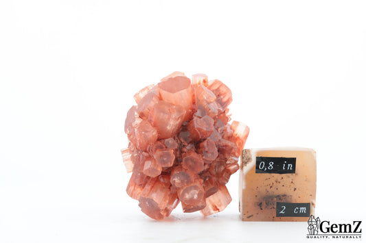 Aragonite Rouge du Maroc – 47g de Cristallisation Radiale Parfaite