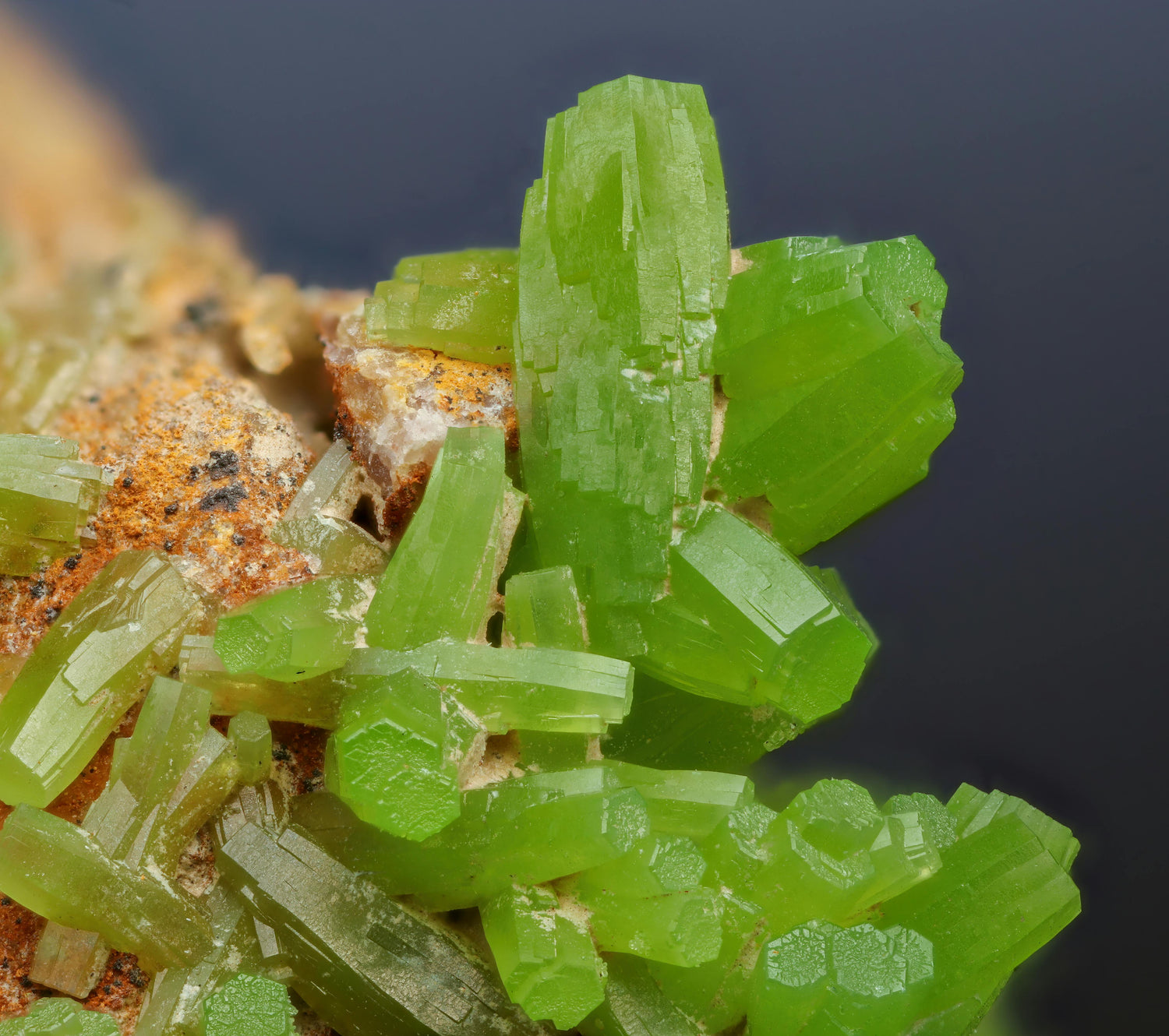 Minéraux de collection