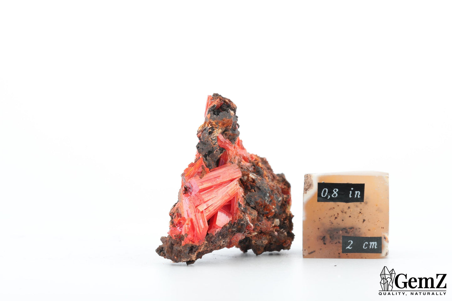 Crocoïte éclatante de Tasmanie – 42g !