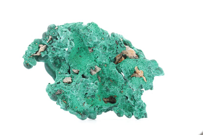 Malachite Fibreuse du Congo – Spécimen Botryoïdal Naturel de 219g