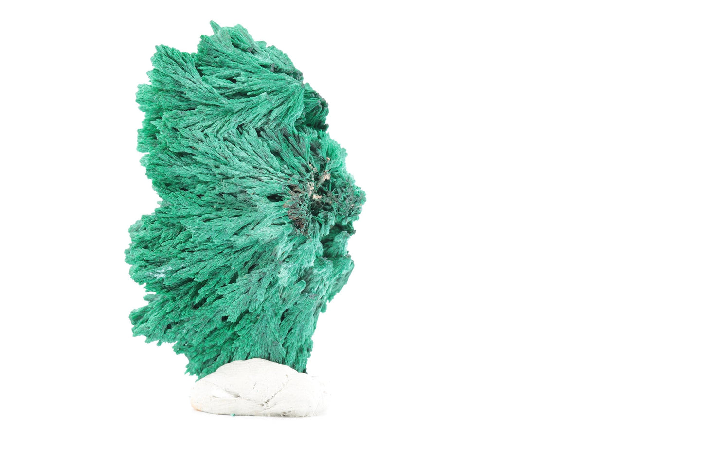 Malachite Fibreuse du Congo – Spécimen Cristallisé de 59g