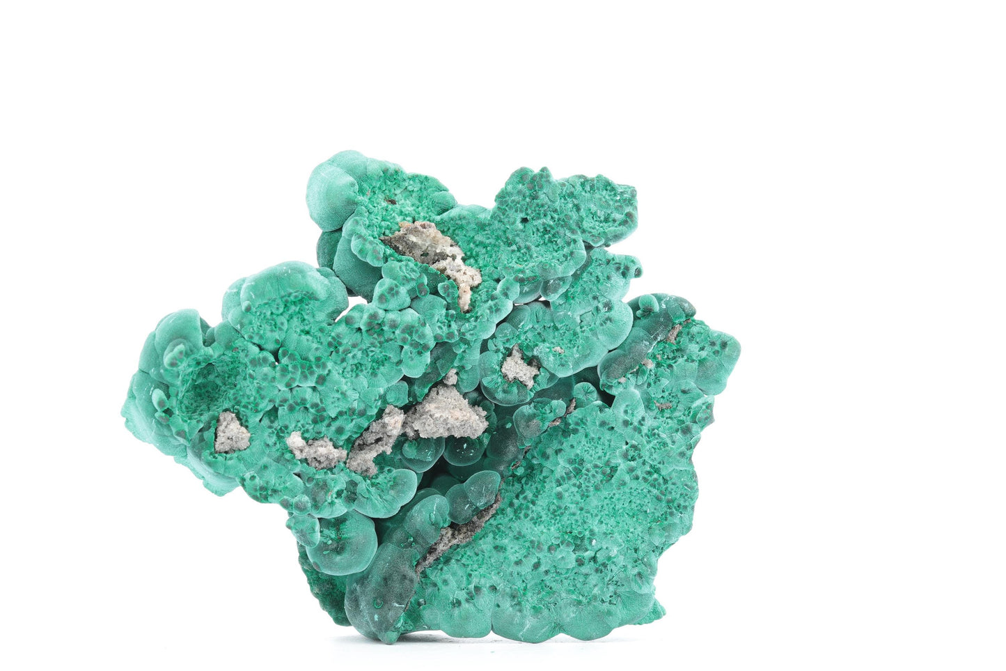 Malachite botryoïdale brute - 97g - Congo - Spécimen unique pour collectionneurs