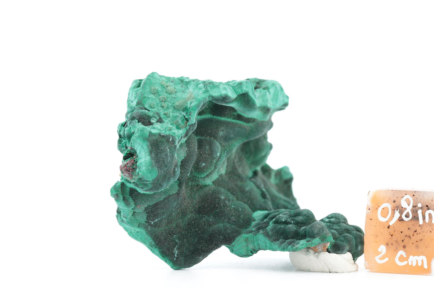 Malachite Fibreuse du Congo – Spécimen Brut Naturel de 83g