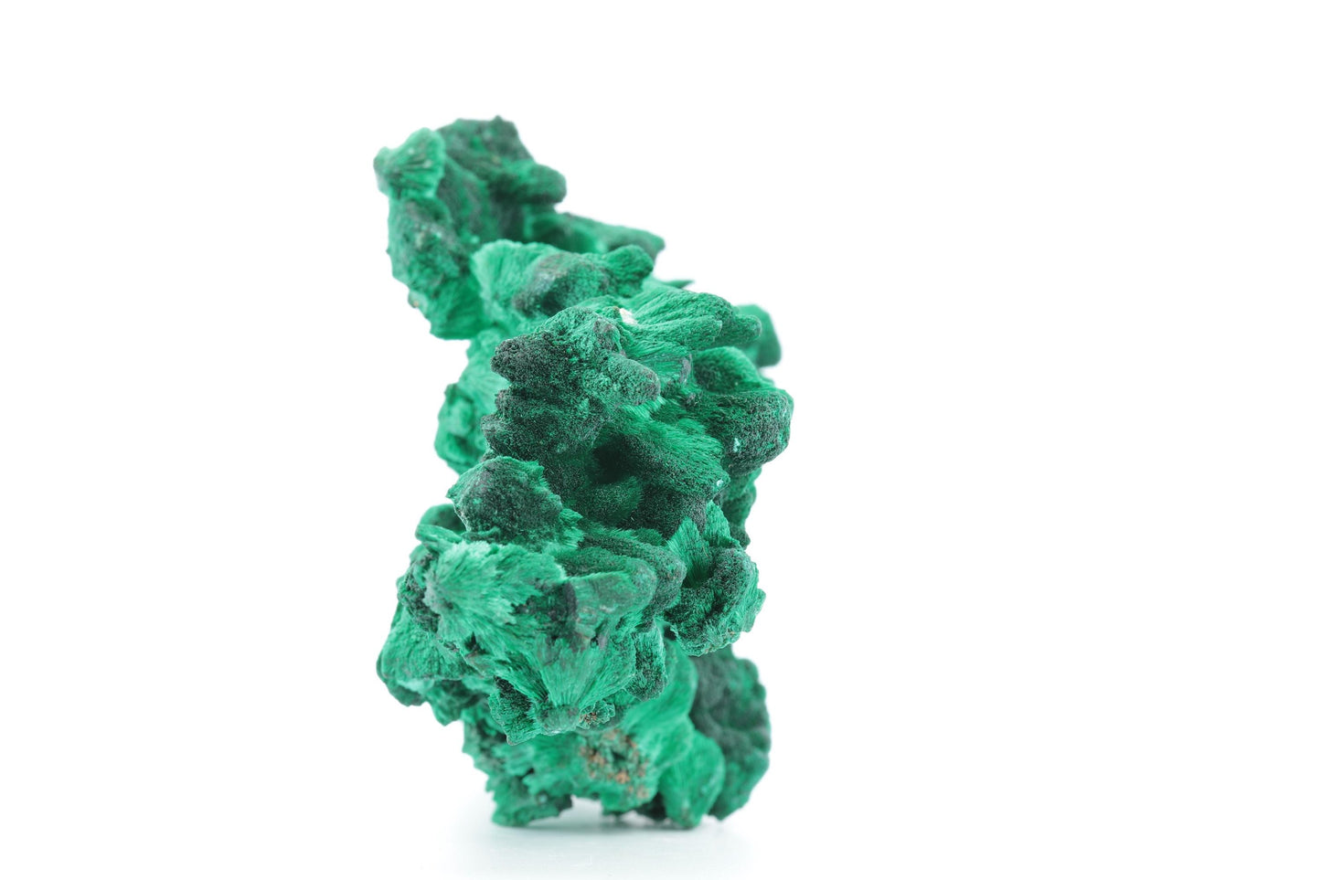 Malachite Fibreuse du Congo – Spécimen Cristallisé d'Exception de 194g