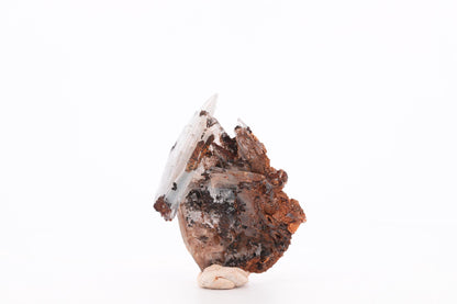 Baryte bleue sur Goéthite – Mine de Sidi Lhcen, Nador, Maroc, 19 g