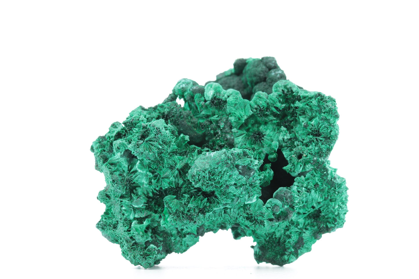 Exceptionnelle Malachite Fibreuse – République Démocratique du Congo