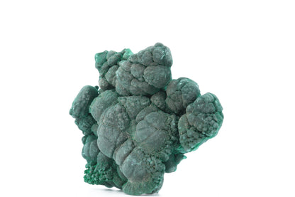 Malachite botryoïdale brute - 97g - Congo - Spécimen unique pour collectionneurs