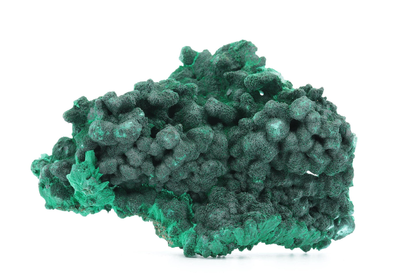 Malachite Fibreuse du Congo – Spécimen Cristallisé d'Exception de 194g