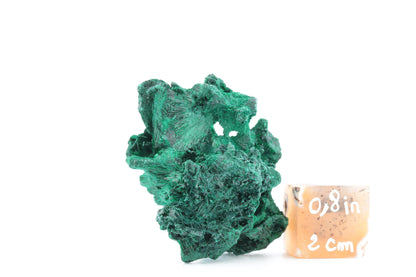 Malachite fibreuse naturelle - 72g - Congo - Pièce unique pour collectionneurs