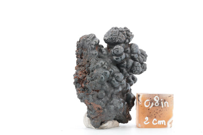 Goethite Botryoïdale du Maroc – 100g