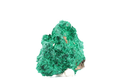 Fascinante Malachite Fibreuse – République Démocratique du Congo