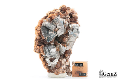 303g !  Arsénopyrite, Sidérite et Calcite, pièce de musée – Panasqueira, Portugal