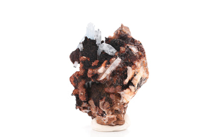 Baryte bleue sur Goéthite – Mine de Sidi Lhcen, Nador, Maroc, 74 g