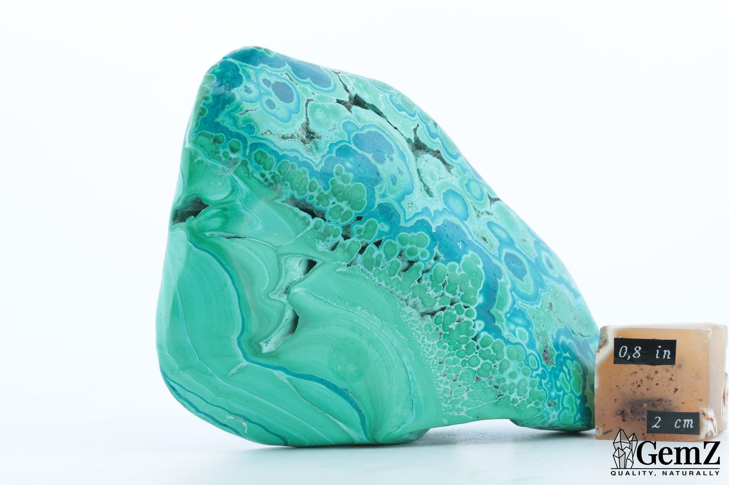 Chrysocolle-Malachite Exceptionnelle, 214g, Motifs Végétaux Uniques