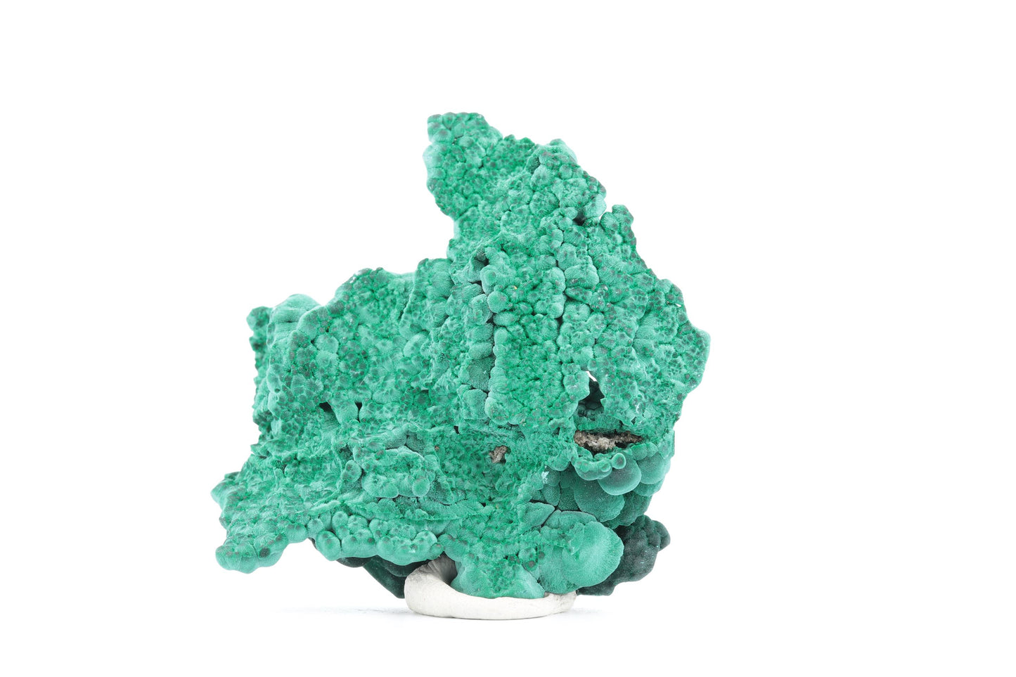 Malachite fibreuse botryoïdale - 53g - Congo - Spécimen unique de collection