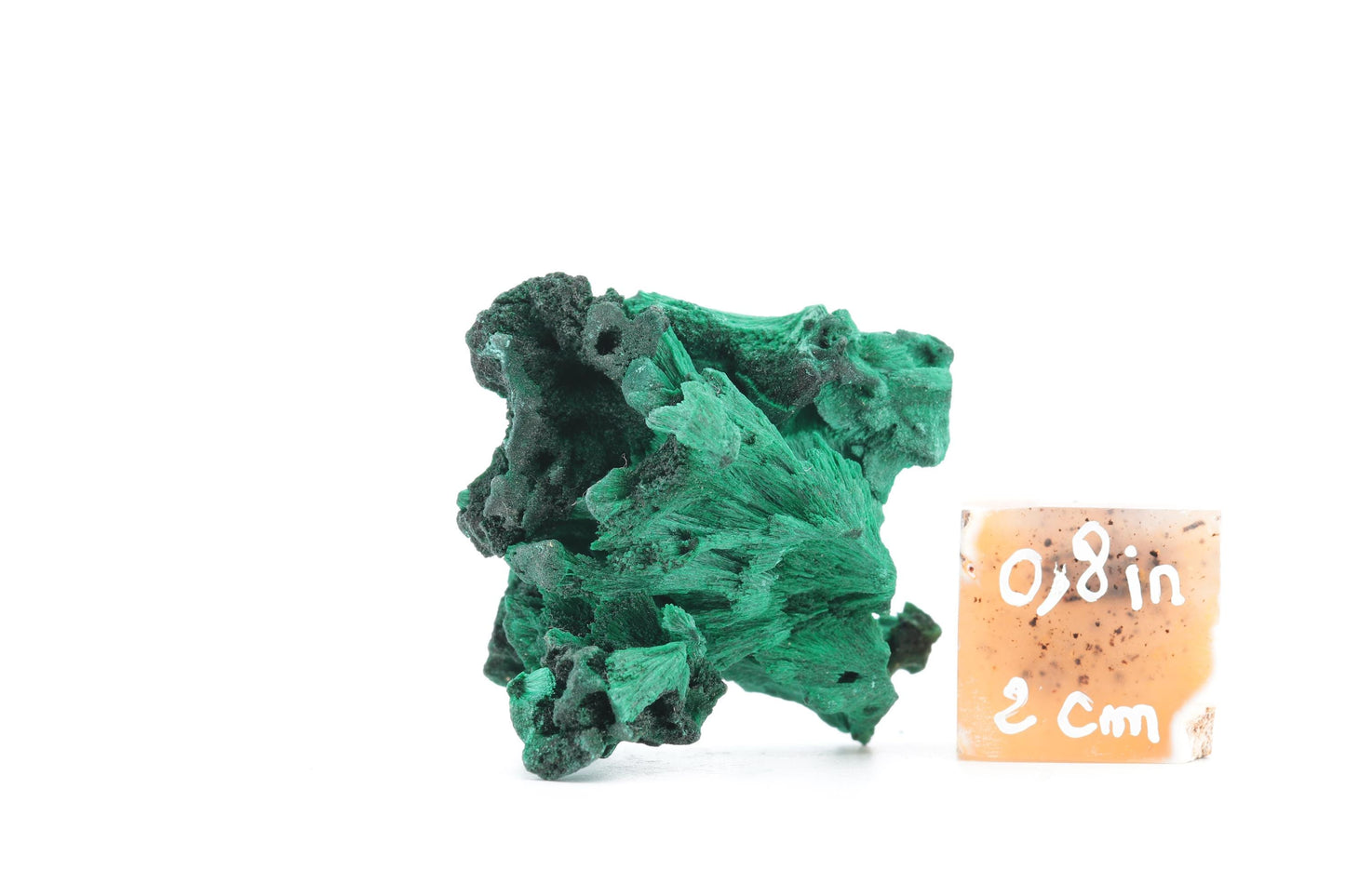 Malachite Fibreuse du Congo – Pièce Naturelle Élégante de 31g !