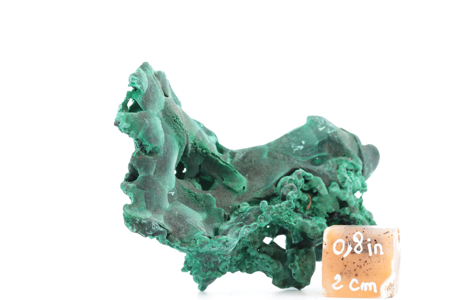 Malachite Botryoïdale et Fibreuse – République Démocratique du Congo