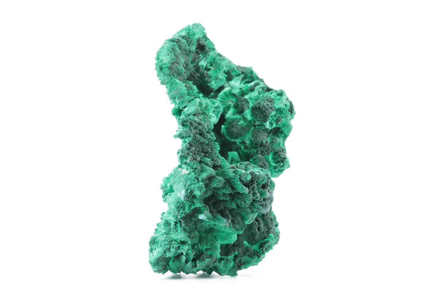 Malachite Fibreuse du Congo – Spécimen Naturel Brillant de 232g