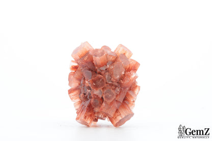 Aragonite Rouge du Maroc – 47g de Cristallisation Radiale Parfaite