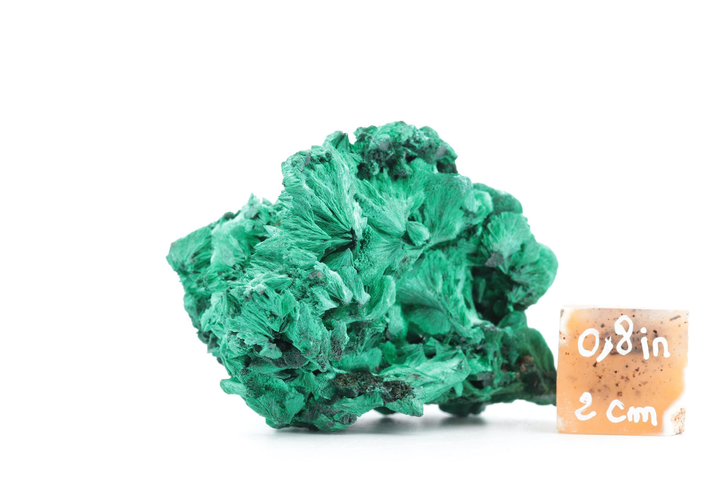 Malachite Fibreuse du Congo – Spécimen Naturel Unique de 125g