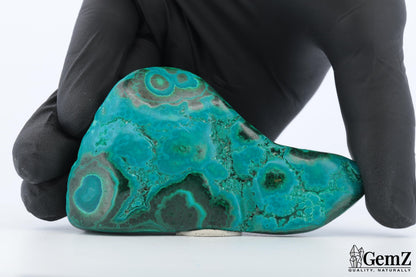 Chrysocolle-malachite polie, motifs ondulés – Congo RDC – 110 g