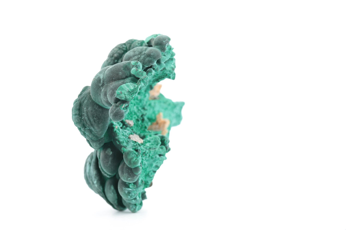 Malachite Fibreuse du Congo – Spécimen Botryoïdal Naturel de 219g