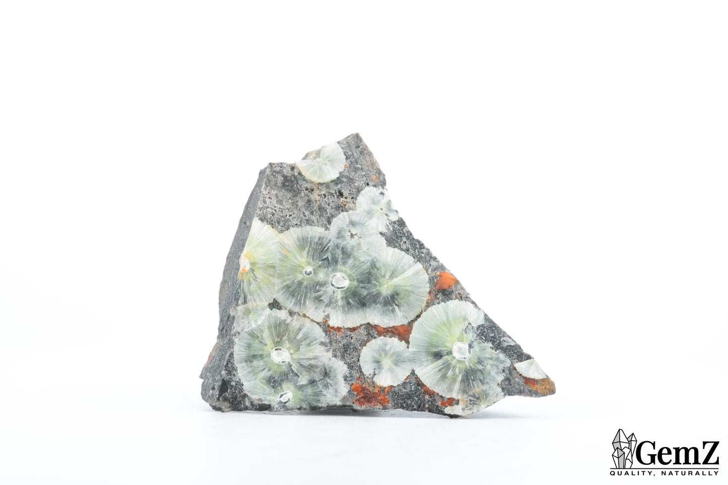 Wavellite verte en rosette - Provenance rare : Mineral Park, Arizona, USA