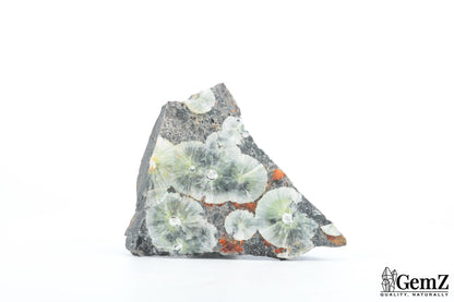 Wavellite verte en rosette - Provenance rare : Mineral Park, Arizona, USA