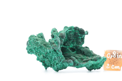 Malachite Fibreuse du Congo – Spécimen Naturel Sculptural de 78g