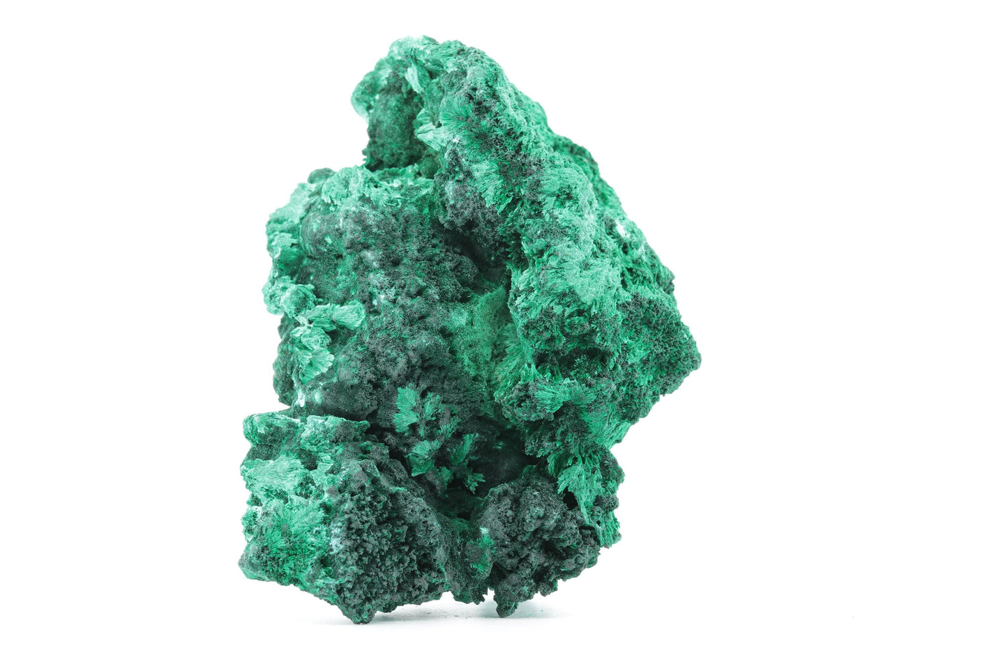 Imposante Malachite Fibreuse – République Démocratique du Congo