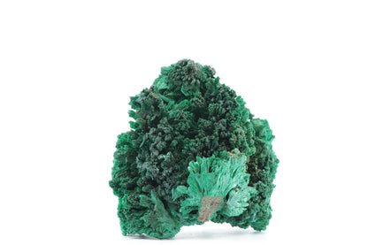 Malachite Fibreuse – République Démocratique du Congo