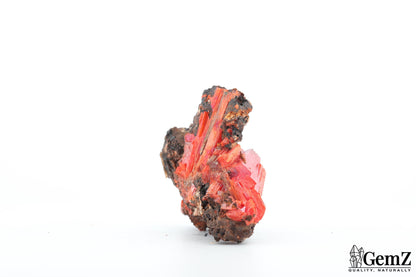 Crocoïte éclatante de Tasmanie – 42g !