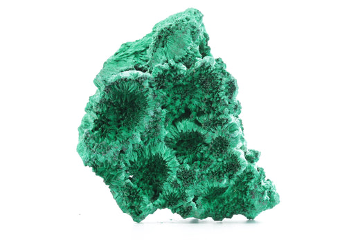 Imposante Malachite Fibreuse – République Démocratique du Congo