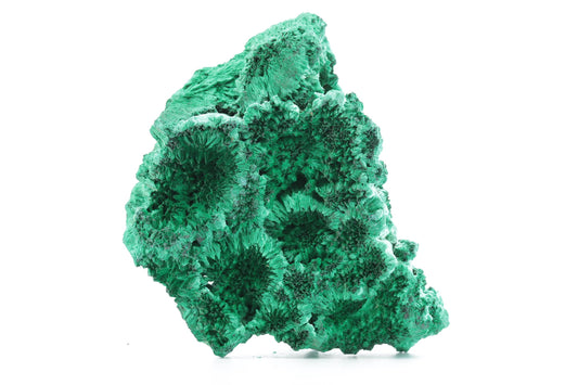 Imposante Malachite Fibreuse – République Démocratique du Congo