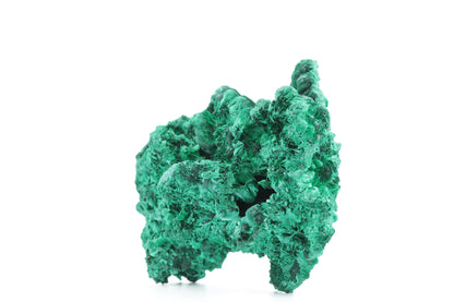 Exceptionnelle Malachite Fibreuse – République Démocratique du Congo