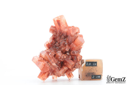 Aragonite Rouge du Maroc – 91g de Beauté Cristalline