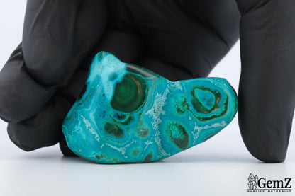 Chrysocolle-malachite polie, cercles turquoise – Congo RDC – 55 g
