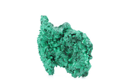 Exceptionnelle Malachite Fibreuse – République Démocratique du Congo