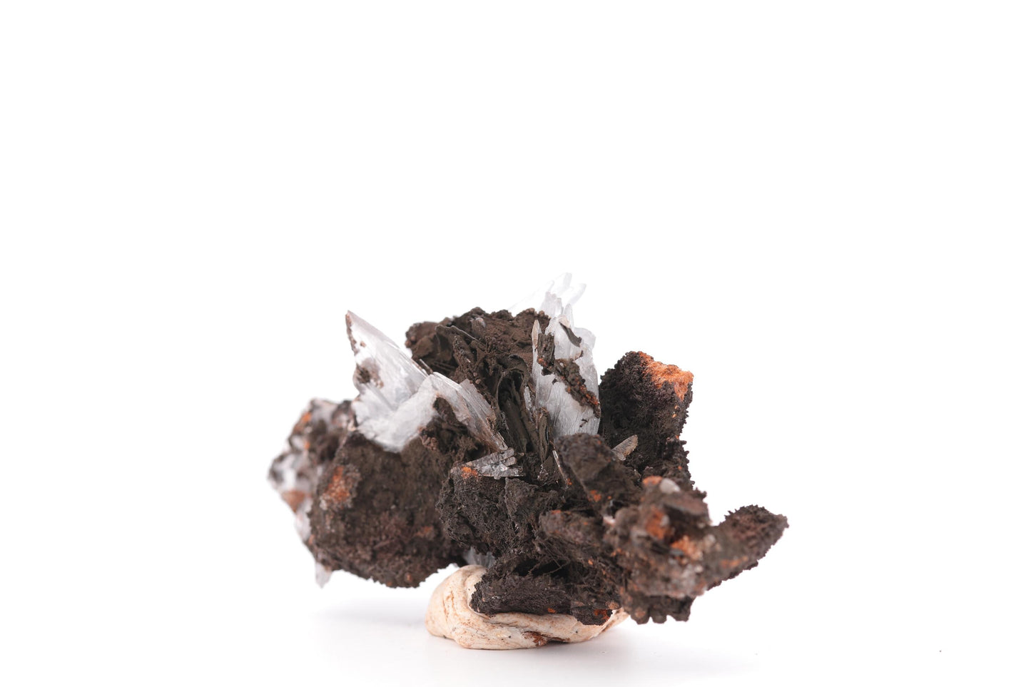 Baryte bleue sur Goéthite – Mine de Sidi Lhcen, Nador, Maroc, 41 g