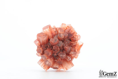 Aragonite Rouge du Maroc – 47g de Cristallisation Radiale Parfaite