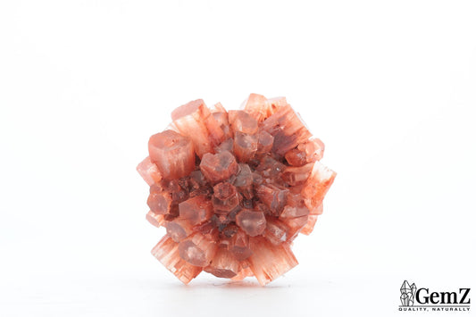 Aragonite Rouge du Maroc – 47g de Cristallisation Radiale Parfaite