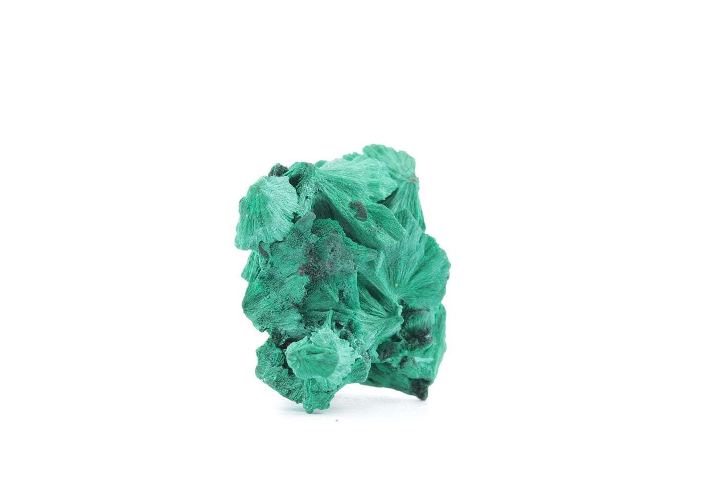 Malachite Fibreuse du Congo – Pièce Naturelle Élégante de 31g !