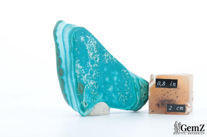 Chrysocolle-malachite polie, reflets bleu azur – Congo RDC – 42 g