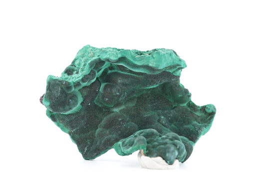 Malachite Fibreuse du Congo – Spécimen Brut Naturel de 83g
