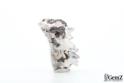 Rare Cassitérite brillante sur quartz cristallisé – 72g !