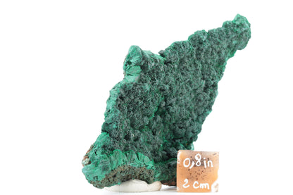 Malachite fibreuse naturelle - 158g - Congo - Spécimen unique de collection