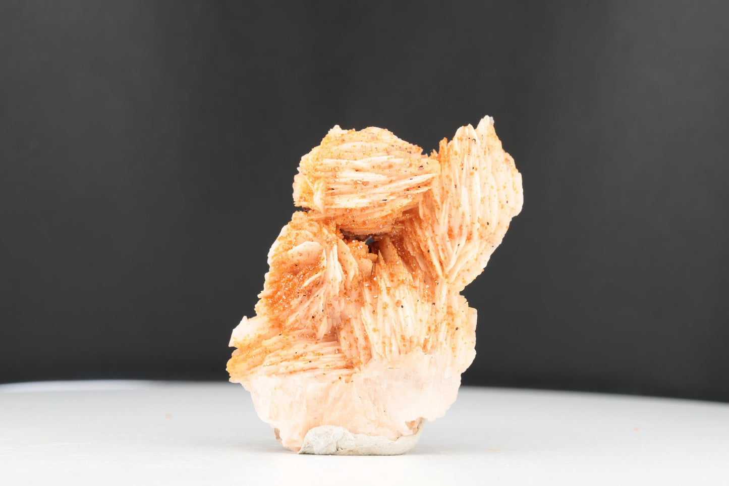 Vanadinite Sur Baryte – Mibladen, Maroc